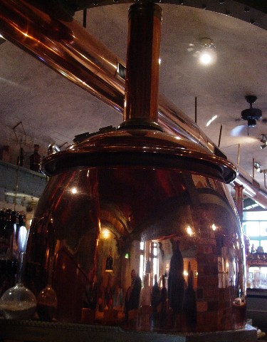 Beer brewer